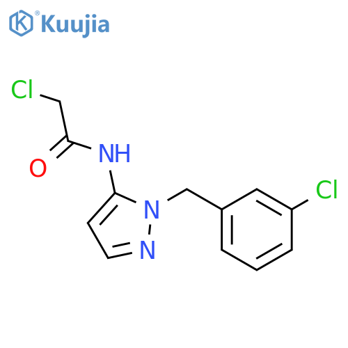 2-Chloro-N-{1-(3-Chlorophenyl)Methyl-1h-Pyrazol-5-Yl}Acetamide structure