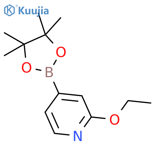 2-ethoxy-4-(tetramethyl-1,3,2-dioxaborolan-2-yl)pyridine structure