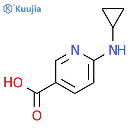 6-(cyclopropylamino)pyridine-3-carboxylic acid structure