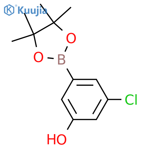 3-Chloro-5-hydroxyphenylboronic acid, pinacol ester structure