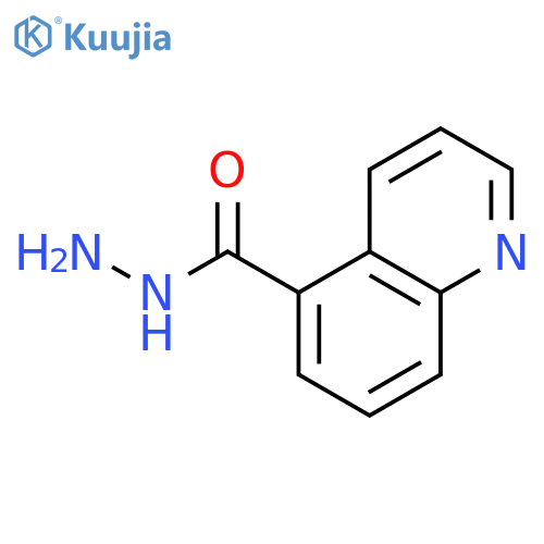 Quinoline-5-carboxylic Acid Hydrazide structure