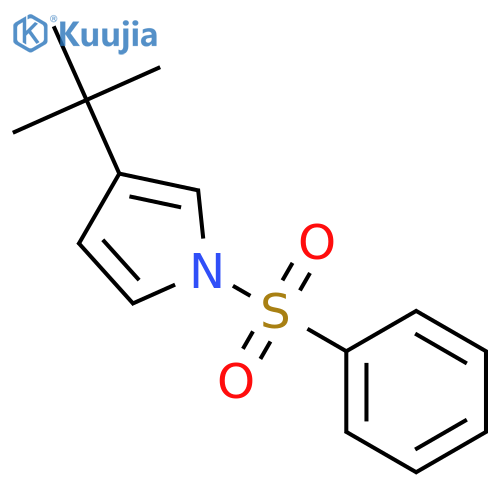1H-Pyrrole, 3-(1,1-dimethylethyl)-1-(phenylsulfonyl)- structure