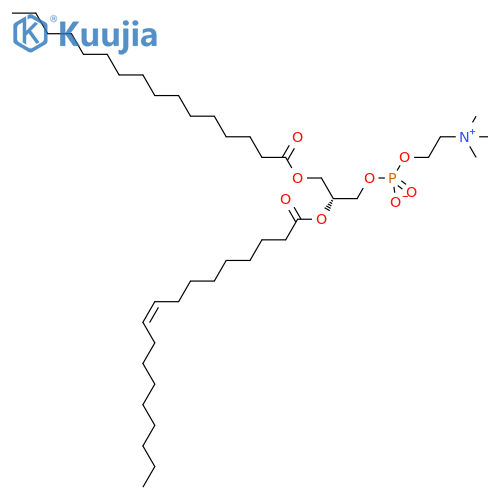 Phosphatidylcholines,egg structure