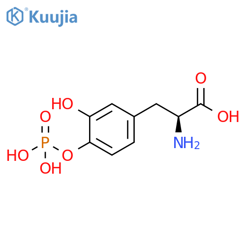 2-Amino-3-(3,4-dihydroxyphenyl)propanoic acid; (S)-form, 4'-O-Phosphate structure