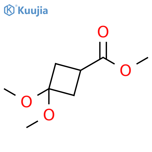 methyl 3,3-dimethoxycyclobutane-1-carboxylate structure