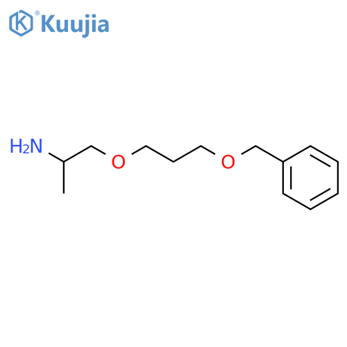 2-Propanamine, 1-[3-(phenylmethoxy)propoxy]- structure