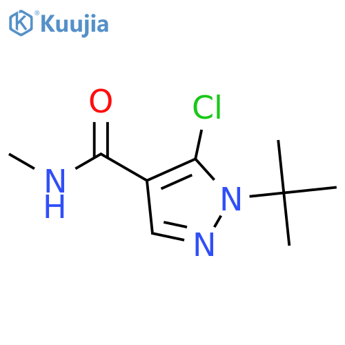 1-tert-butyl-5-chloro-N-methyl-1H-pyrazole-4-carboxamide structure