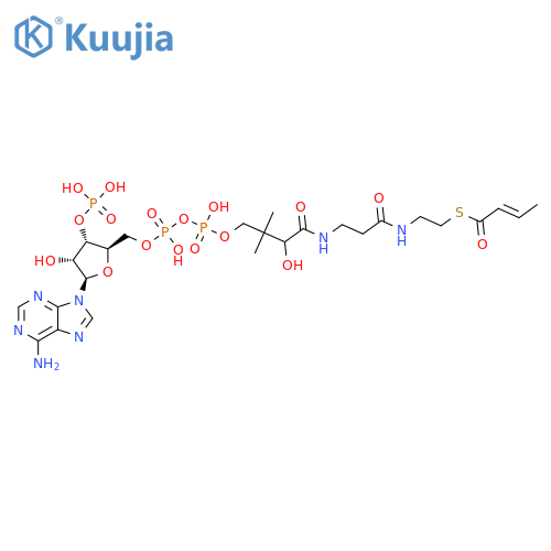 Crotonoyl-CoA structure