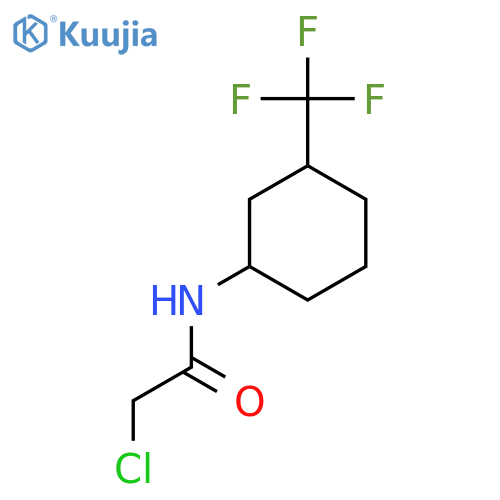 2-Chloro-N-3-(trifluoromethyl)cyclohexylacetamide structure